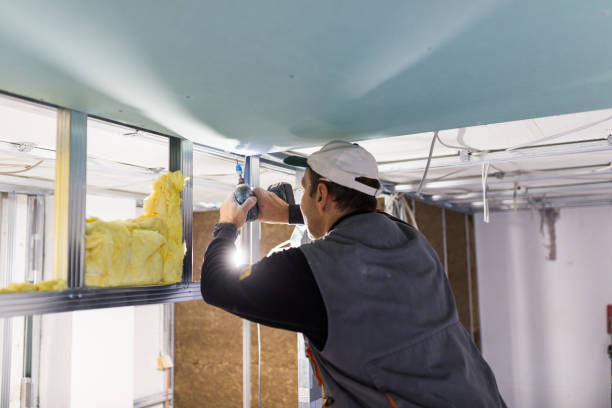 Best Insulation Maintenance and Repair in Hibbing, MN
