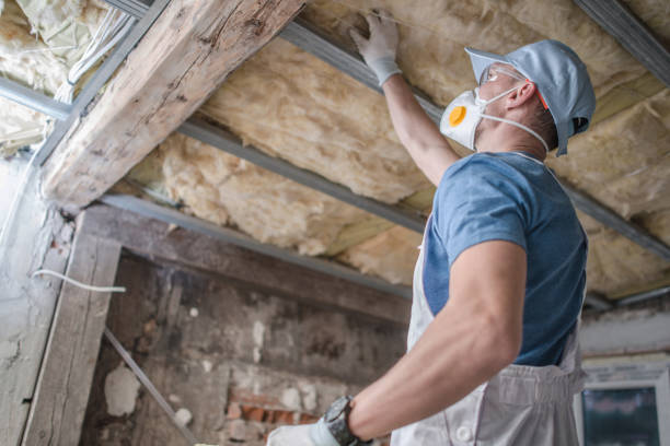 Best DIY Insulation Kits and Guidance in Hibbing, MN