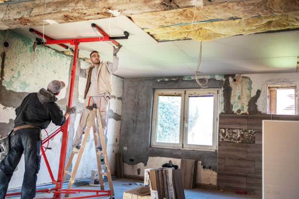 Best Residential Insulation in Hibbing, MN